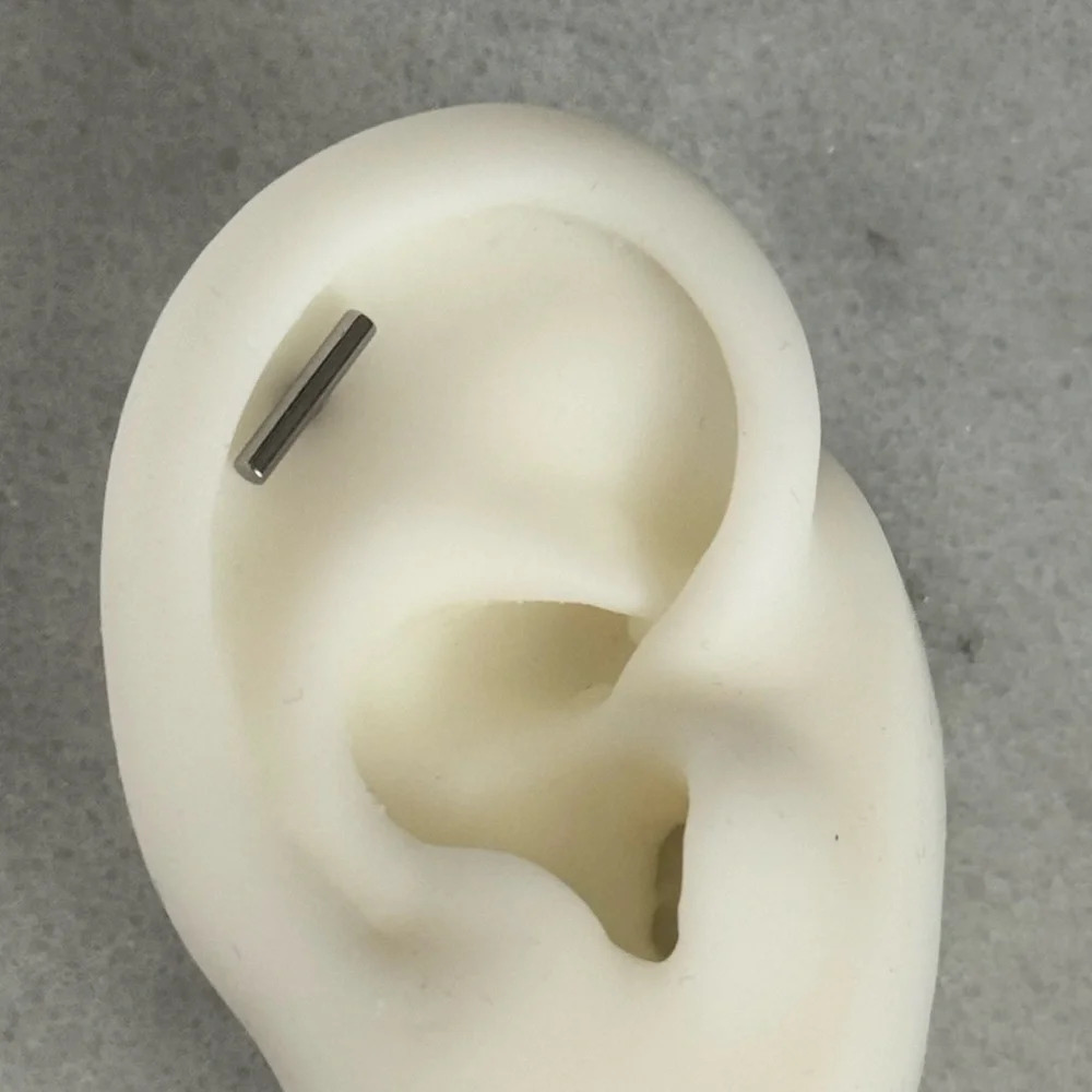 Silver Bar Cartilage Earring Brand New